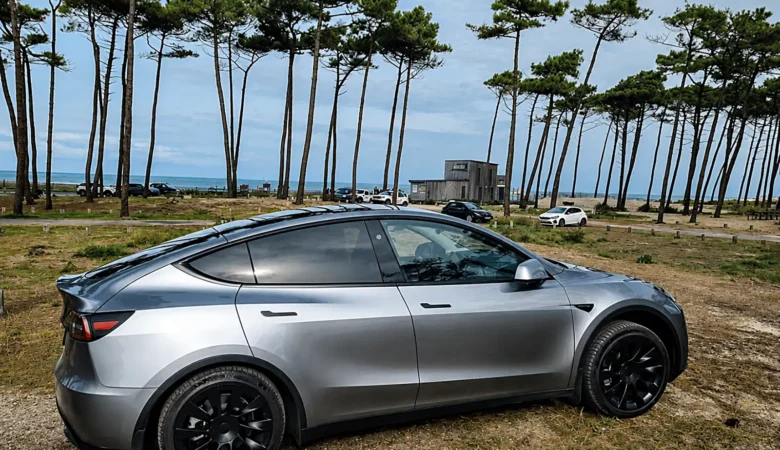 OffRoad Tesla Model Y